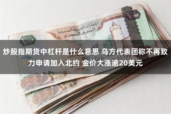 炒股指期货中杠杆是什么意思 乌方代表团称不再致力申请加入北约 金价大涨逾20美元