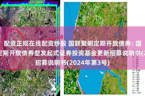 配资正规在线配资炒股 国联聚明定期开放债券: 国联聚明3个月定期开放债券型发起式证券投资基金更新招募说明书(2024年第3号)