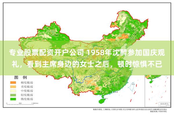 专业股票配资开户公司 1958年沈醉参加国庆观礼，看到主席身边的女士之后，顿时惊惧不已