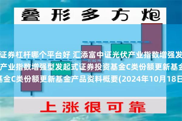 证券杠杆哪个平台好 汇添富中证光伏产业指数增强发起式C: 汇添富中证光伏产业指数增强型发起式证券投资基金C类份额更新基金产品资料概要(2024年10月18日更新)