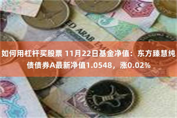 如何用杠杆买股票 11月22日基金净值：东方臻慧纯债债券A最新净值1.0548，涨0.02%