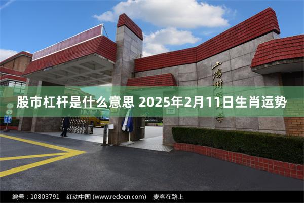 股市杠杆是什么意思 2025年2月11日生肖运势