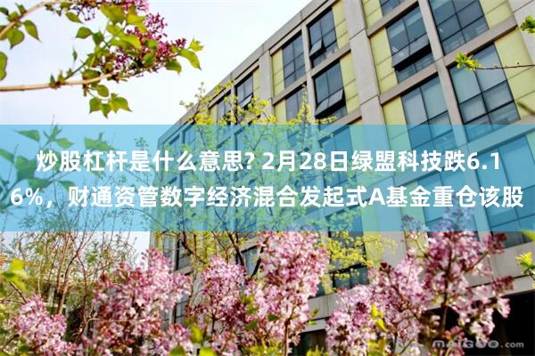 炒股杠杆是什么意思? 2月28日绿盟科技跌6.16%，财通资管数字经济混合发起式A基金重仓该股