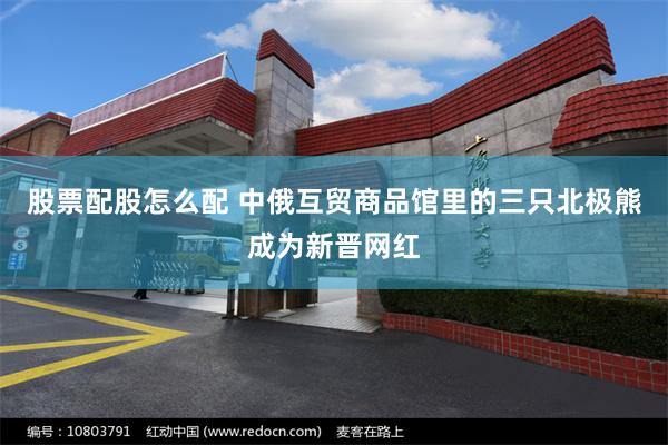 股票配股怎么配 中俄互贸商品馆里的三只北极熊成为新晋网红